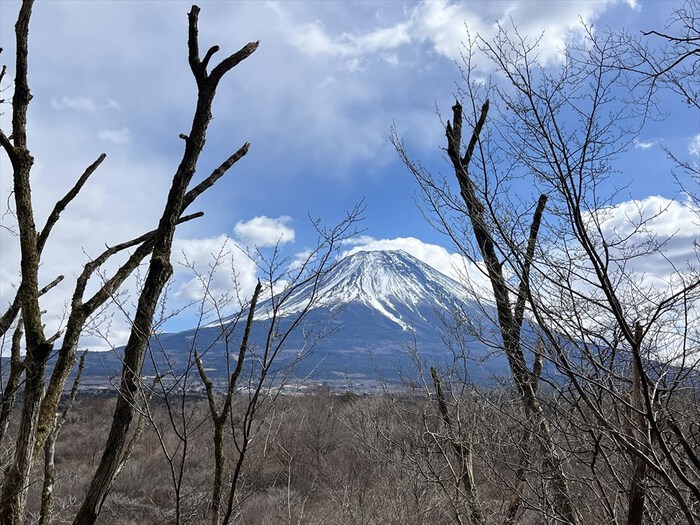 毛無山～大見岳～タカデッキ～雨ヶ岳