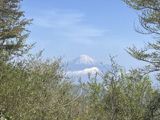 道白山～竜爪山（則沢より周回）