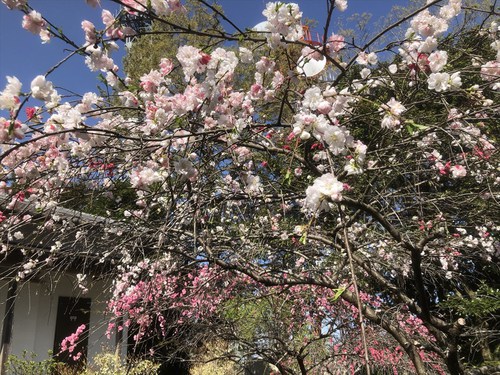 粟ヶ岳