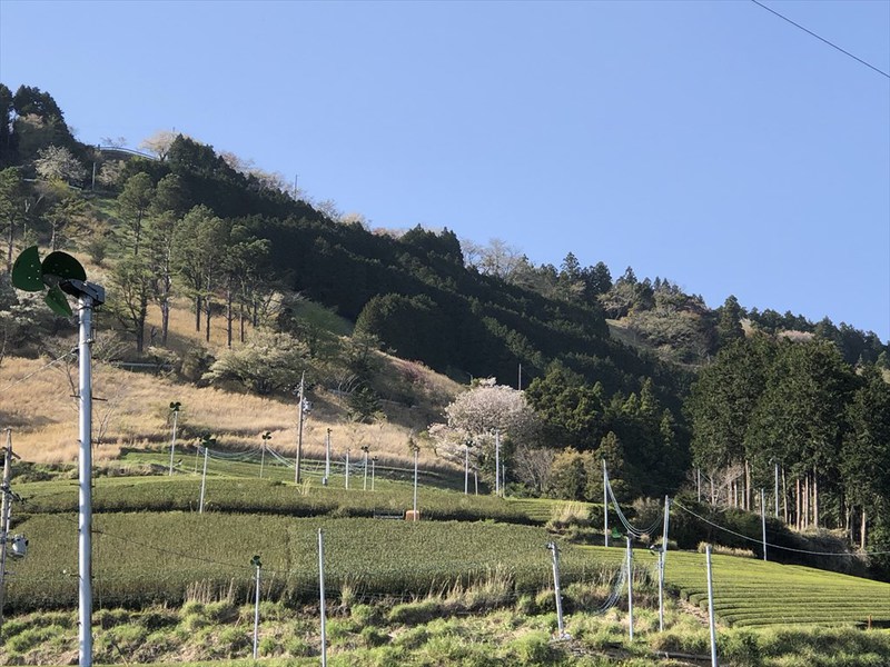 粟ヶ岳
