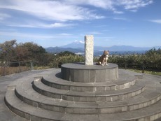 日本平（有度山）