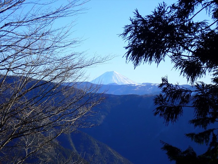 沢口山