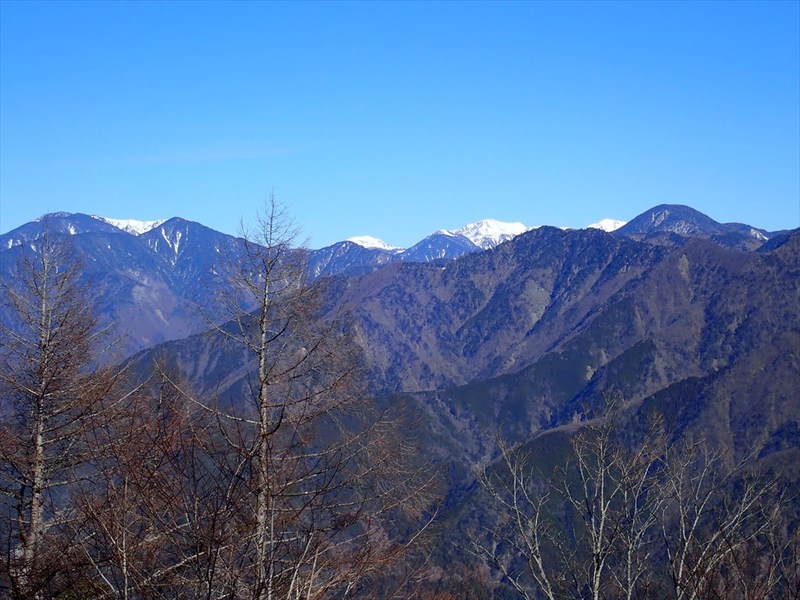 沢口山