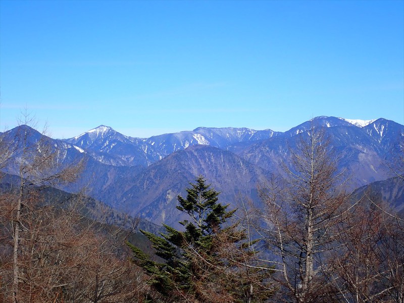 沢口山