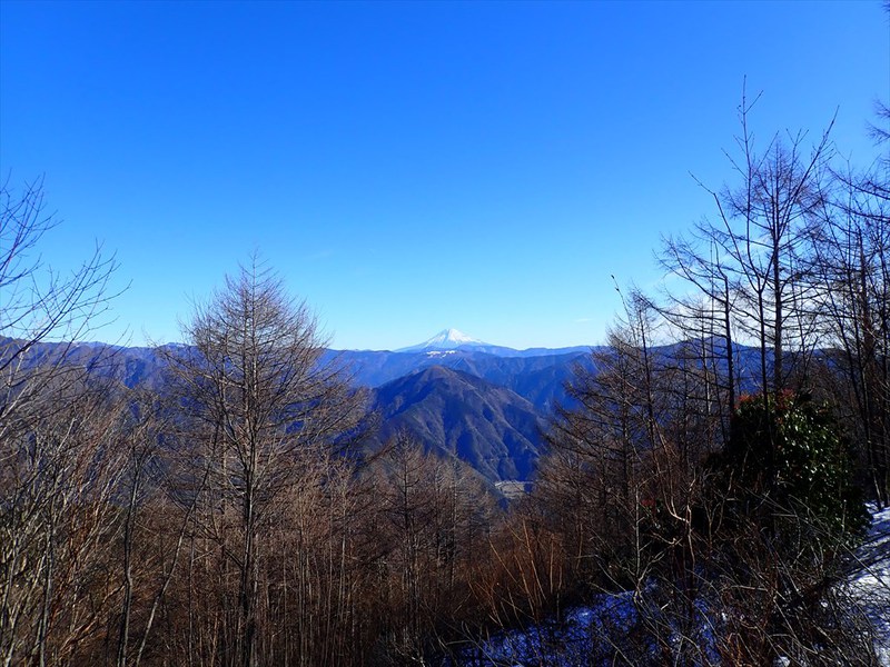 沢口山