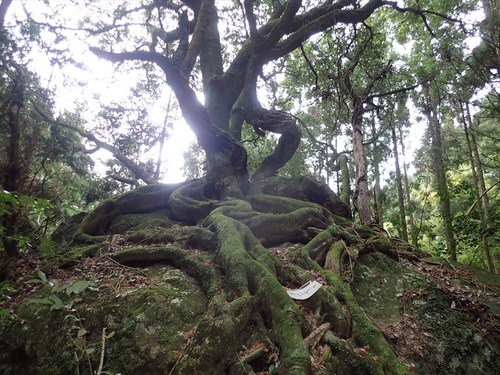 竜爪山（則沢コース）