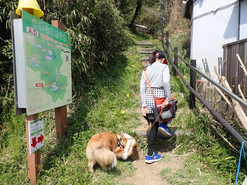 谷津山