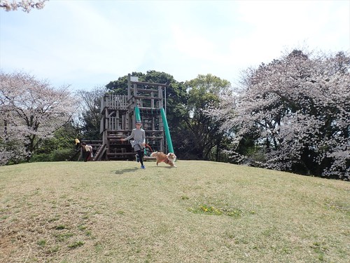谷津山
