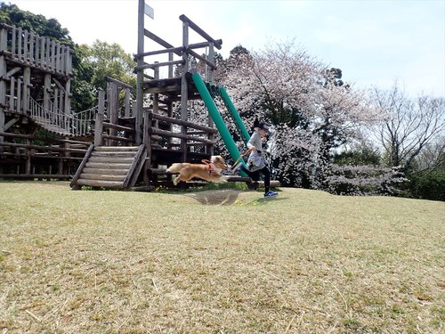 谷津山