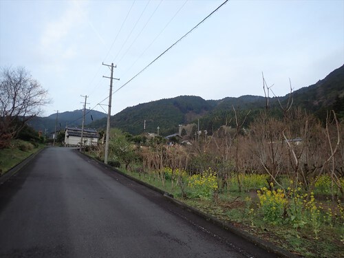 浜石岳～陣馬山