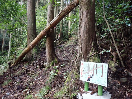 浜石岳～陣馬山