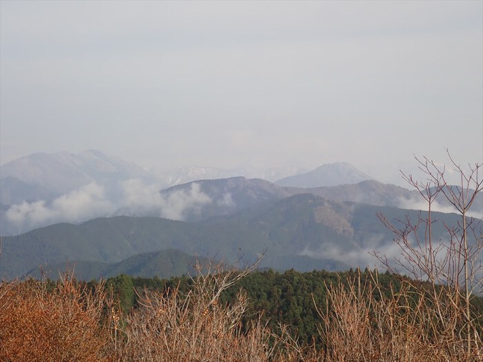 浜石岳～陣馬山