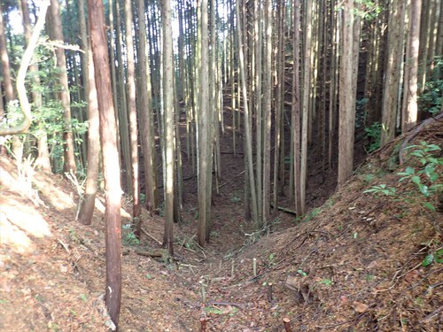 浜石岳～陣馬山