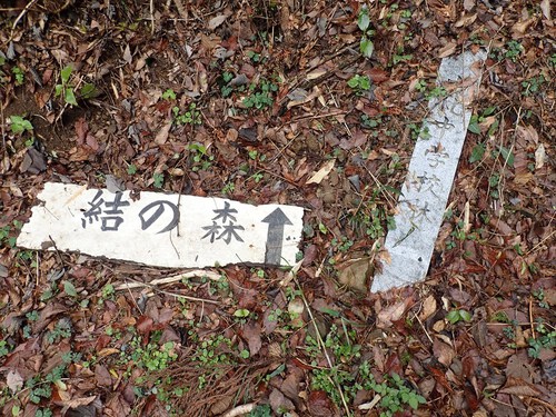 浜石岳～陣馬山