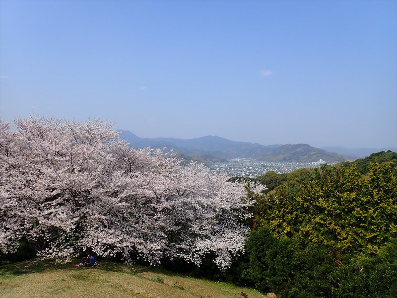 谷津山