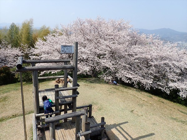 谷津山