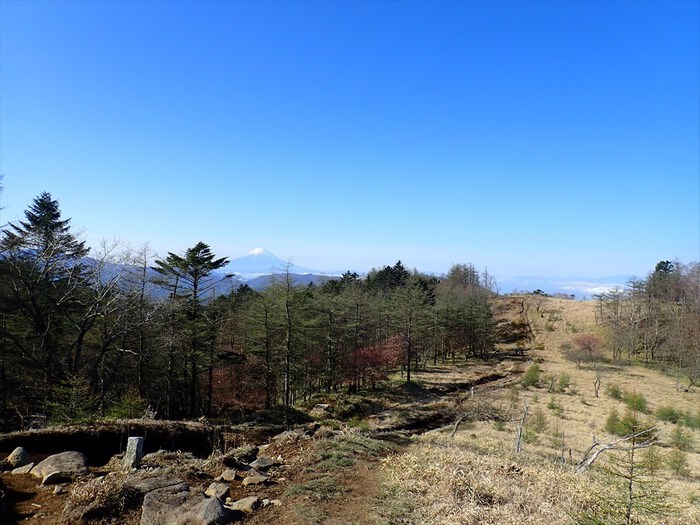 笠取山