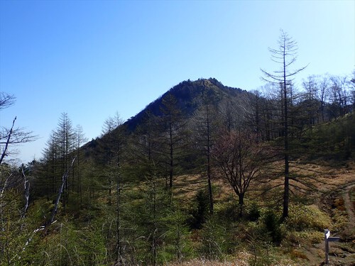 笠取山