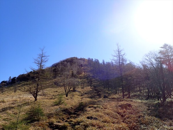 笠取山
