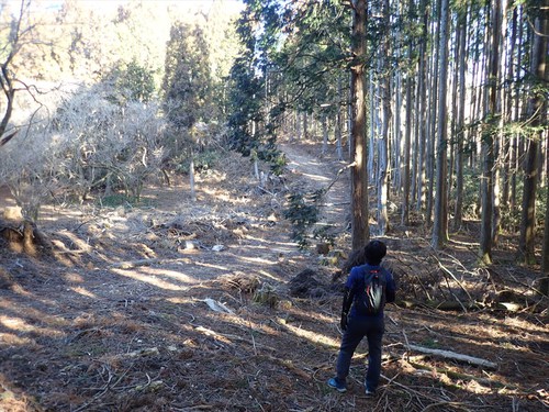 富士見岳～竜爪山～欅立山～欅北小山