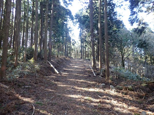 富士見岳～竜爪山～欅立山～欅北小山