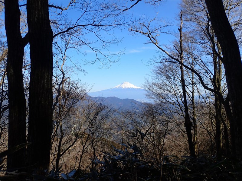 富士見岳～竜爪山～欅立山～欅北小山