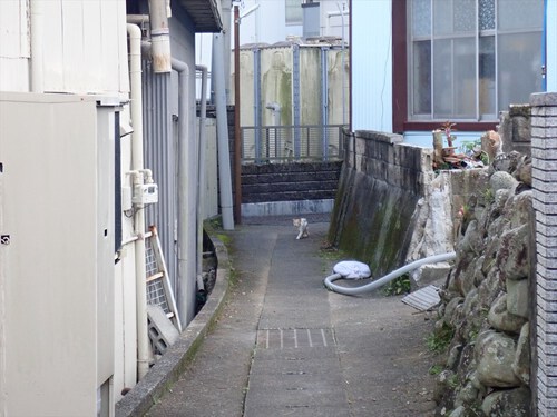 浜石岳