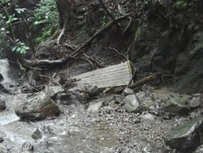 やませみの湯～穂積神社　撤退（炭焼平山林道・東海自然歩道）