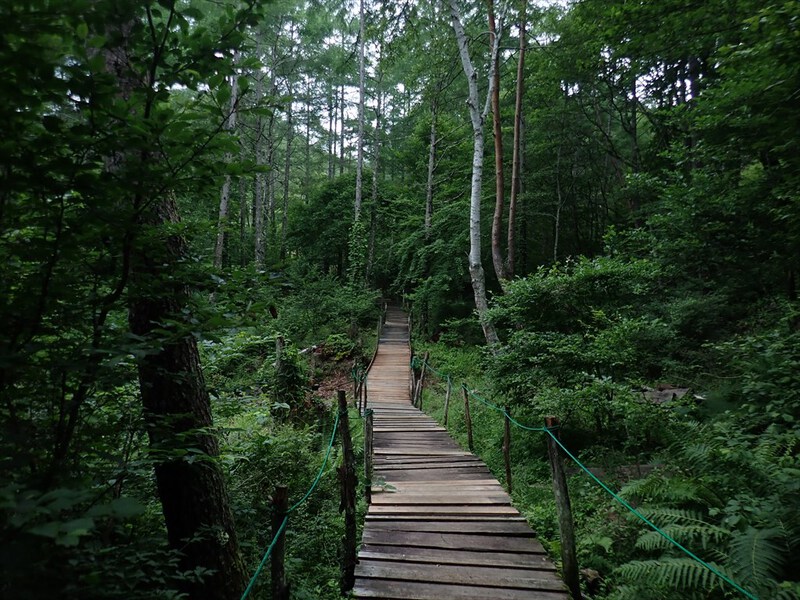 守屋山