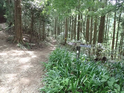 竜爪山