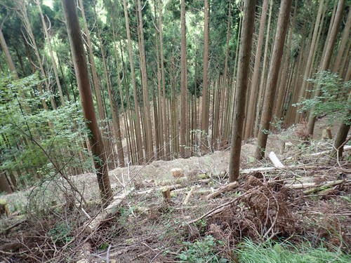 竜爪山