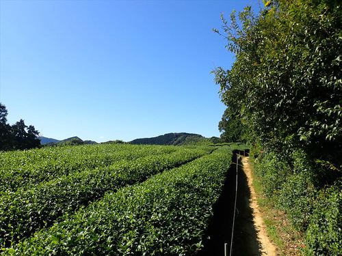 清水山給水塔