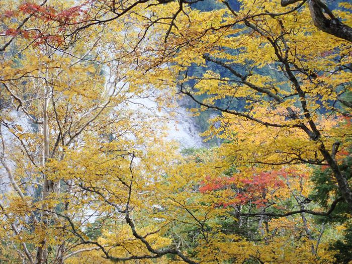 烏帽子岳～野口五郎岳　①烏帽子岳編