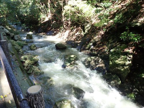 花沢山～満観峰