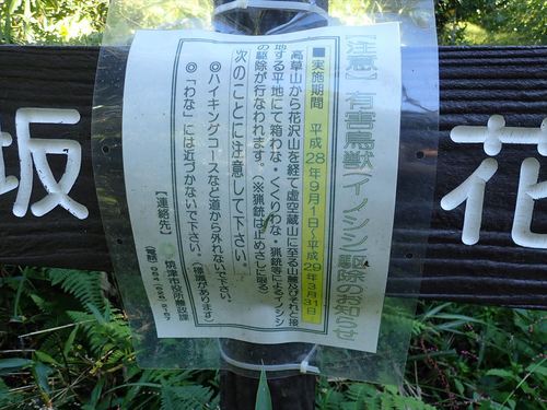 花沢山～満観峰
