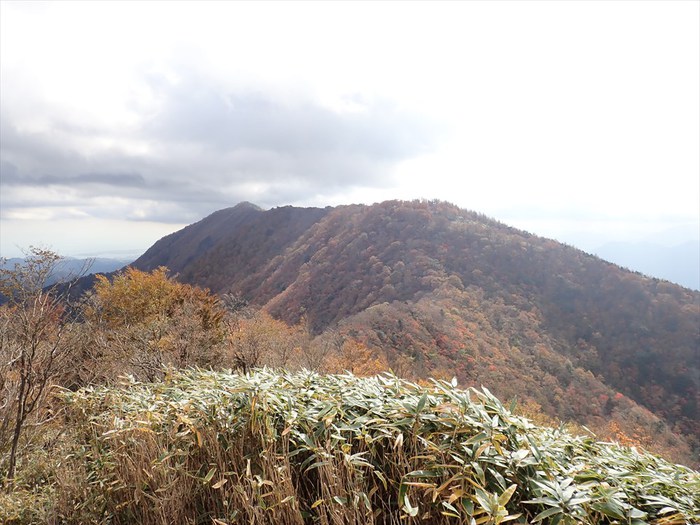 地蔵峠～下十枚山～十枚山
