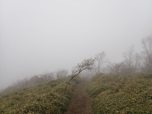 地蔵峠～下十枚山～十枚山