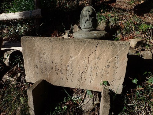 用宗港～花沢山～満観峰～丸子富士周回