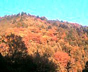 箱根の別荘地