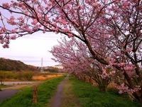 いつもの風景