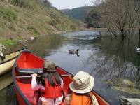 ＊　デビューは　＊　青連寺湖　