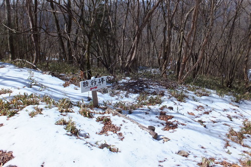 富士見峠～大日山～勘行峰～リバウェル井川スキー場