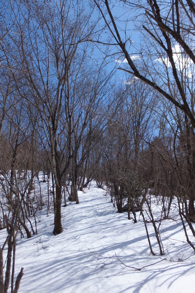 富士見峠～大日山～勘行峰～リバウェル井川スキー場