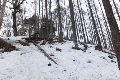 富士見山