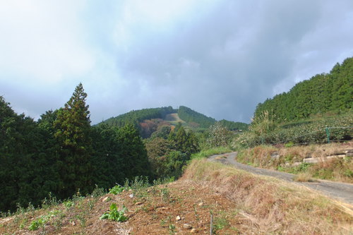 杉尾山