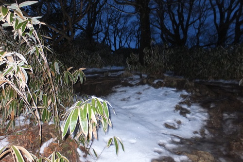 竜ヶ岳