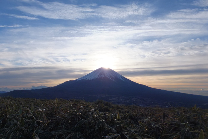 竜ヶ岳