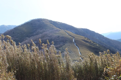 金時山～明神ヶ岳～明星ヶ岳