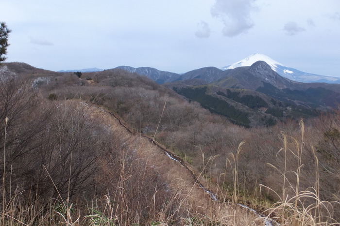 金時山～明神ヶ岳～明星ヶ岳