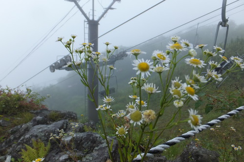 霧ヶ峰（車山）